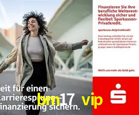 Responsive Design bm17 vip