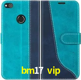 API Integration bm17 vip