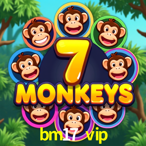 Sports Statistics bm17 vip