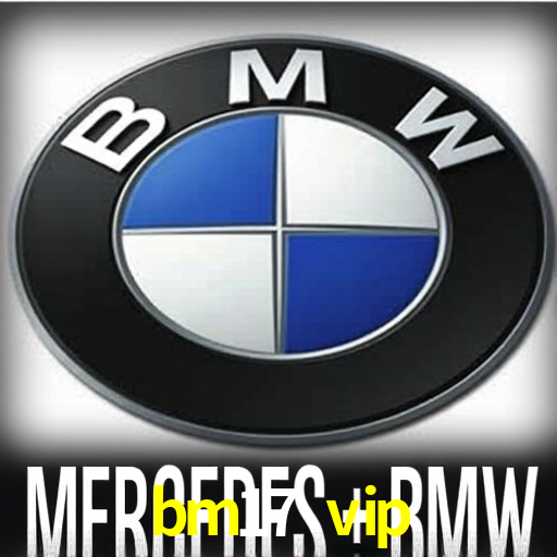 bm17 vip App Interface