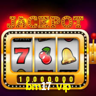 Premium Interface bm17 vip