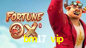 Daily Bonuses bm17 vip