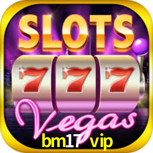 Interface Premium bm17 vip